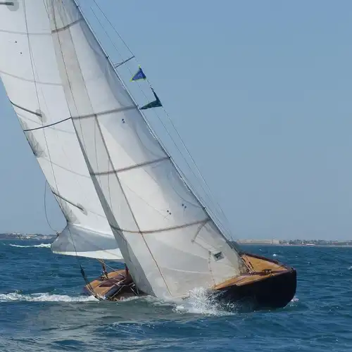 Requin, place à La Grande-Motte