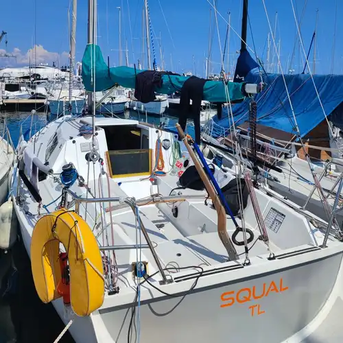 Surprise Archambault for sale in Antibes